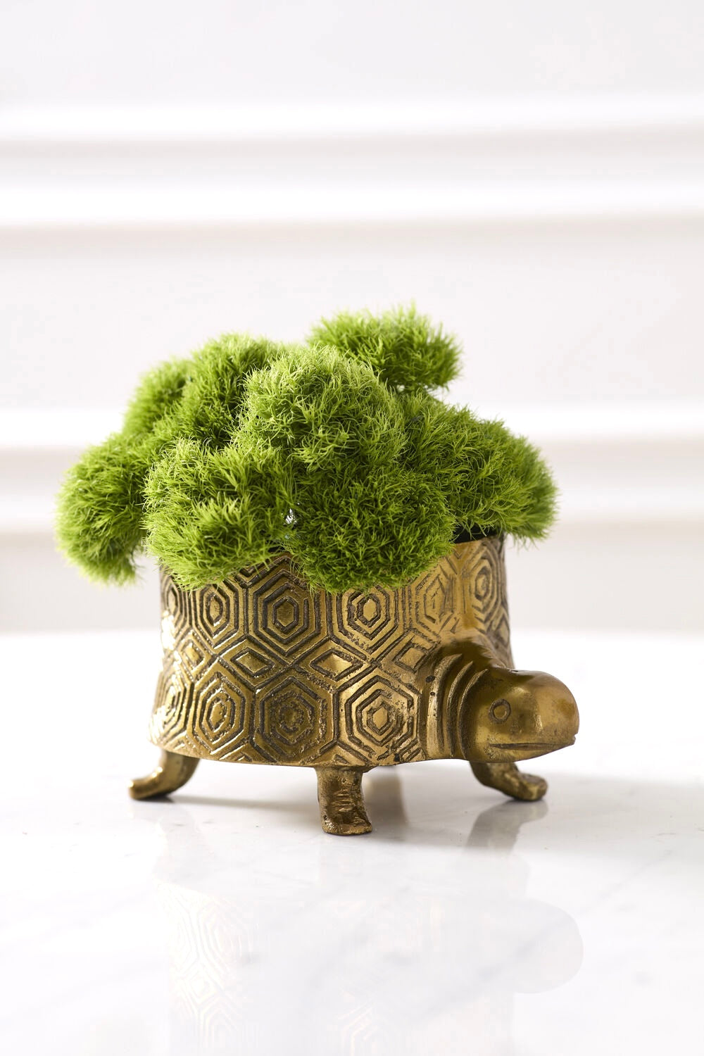 Seymour Turtle Pot