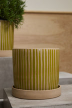 Planter with Saucer  image 2