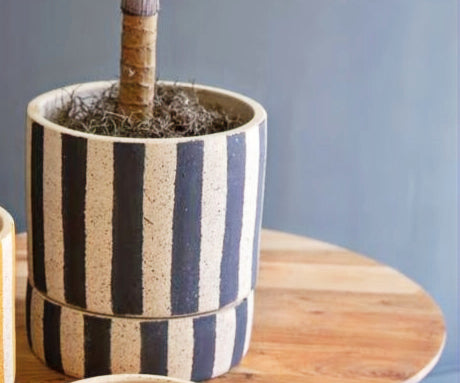 Gobi Clay Pot Collection image 4