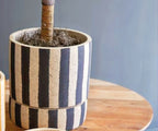 Gobi Clay Pot Collection image 4