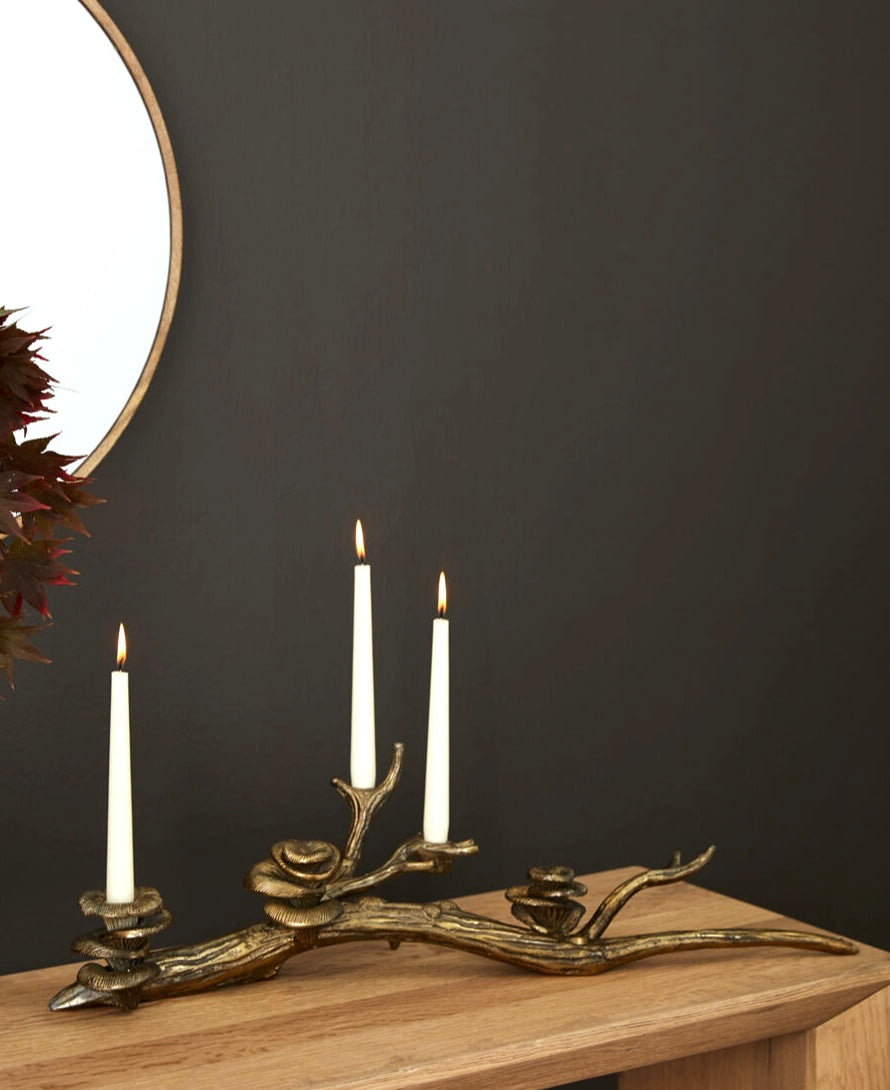 Oyster Mushroom Candleholder image 0