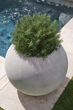 Full Moon Planter Collection  image 3