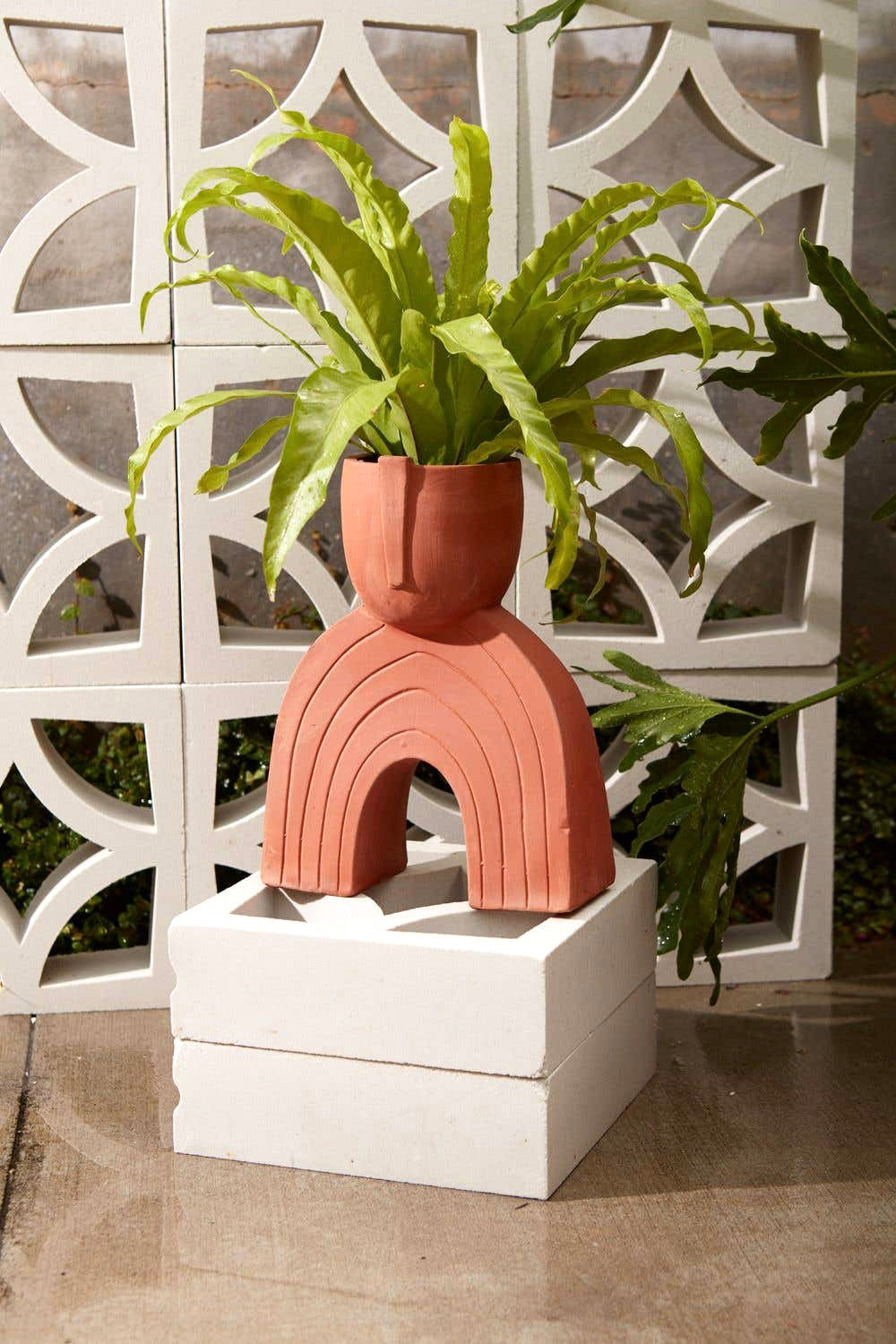 Jacinto Terracotta Planter image 2