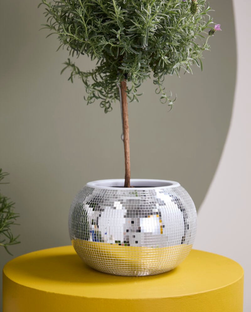 Disco Pot Collection  image 6