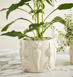 Veggie Pot Collection  image 3