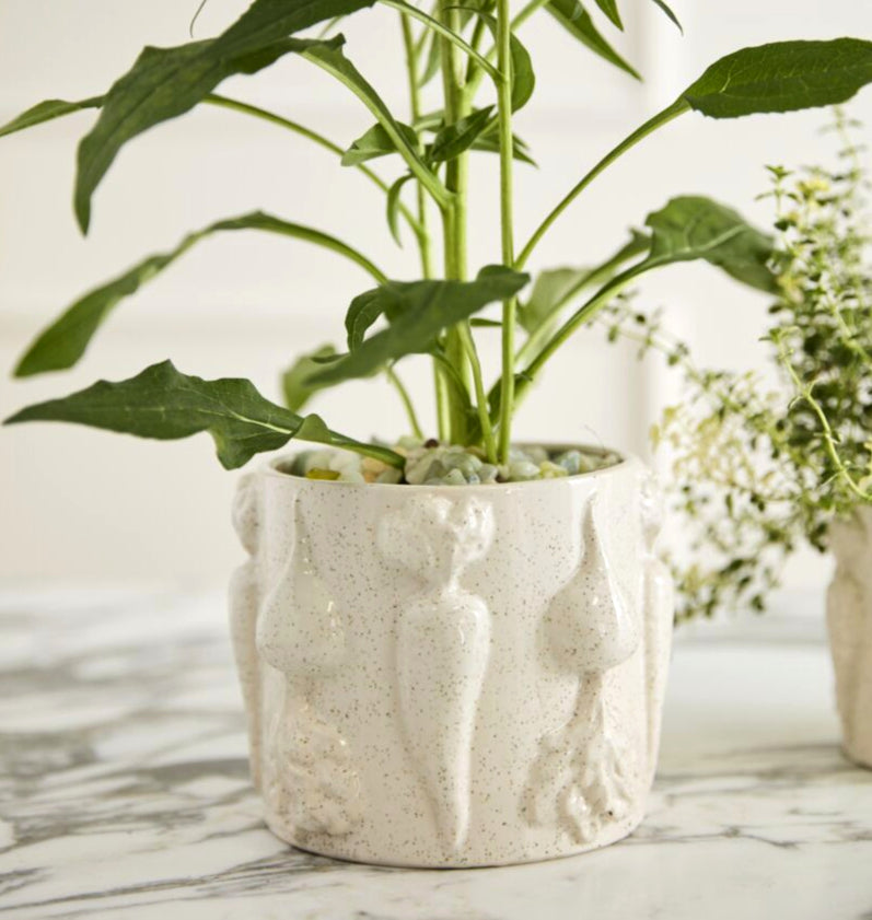 Veggie Pot Collection  image 3