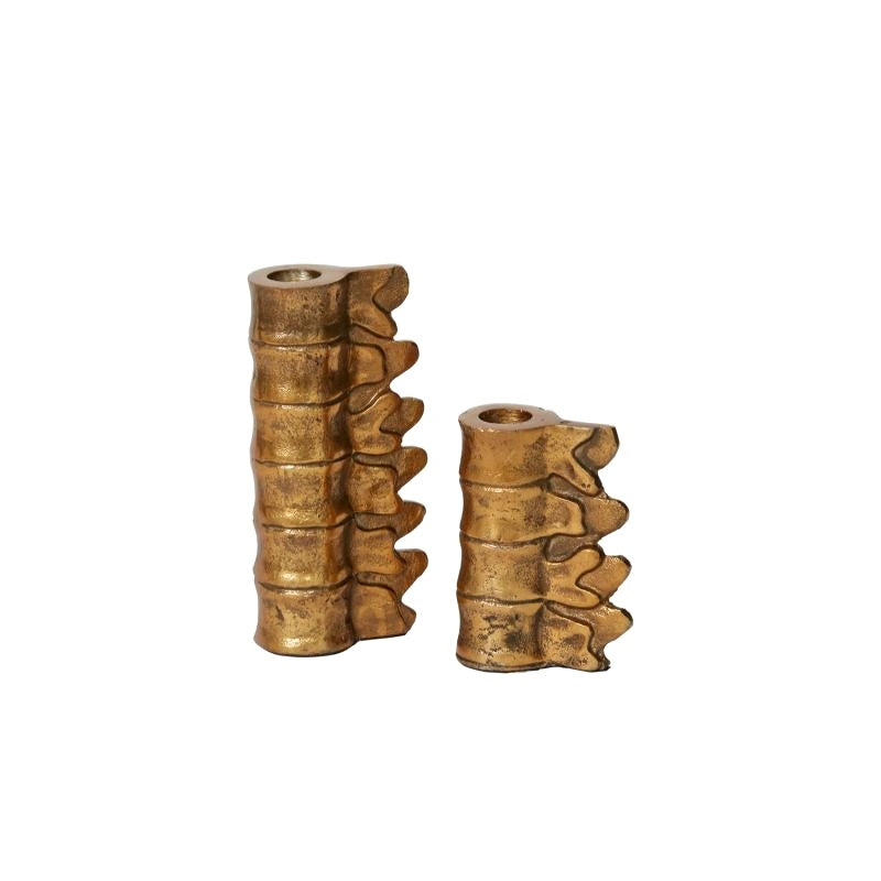 Skeletal Lumbar Candleholders (Set of 2) image 3