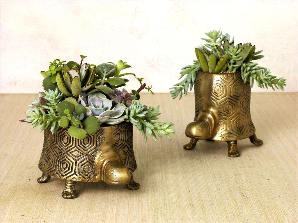 Seymour Turtle Pot image 1