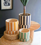 Gobi Clay Pot Collection image 0