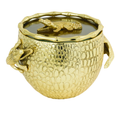 Gold Croc Ice Bucket image 0