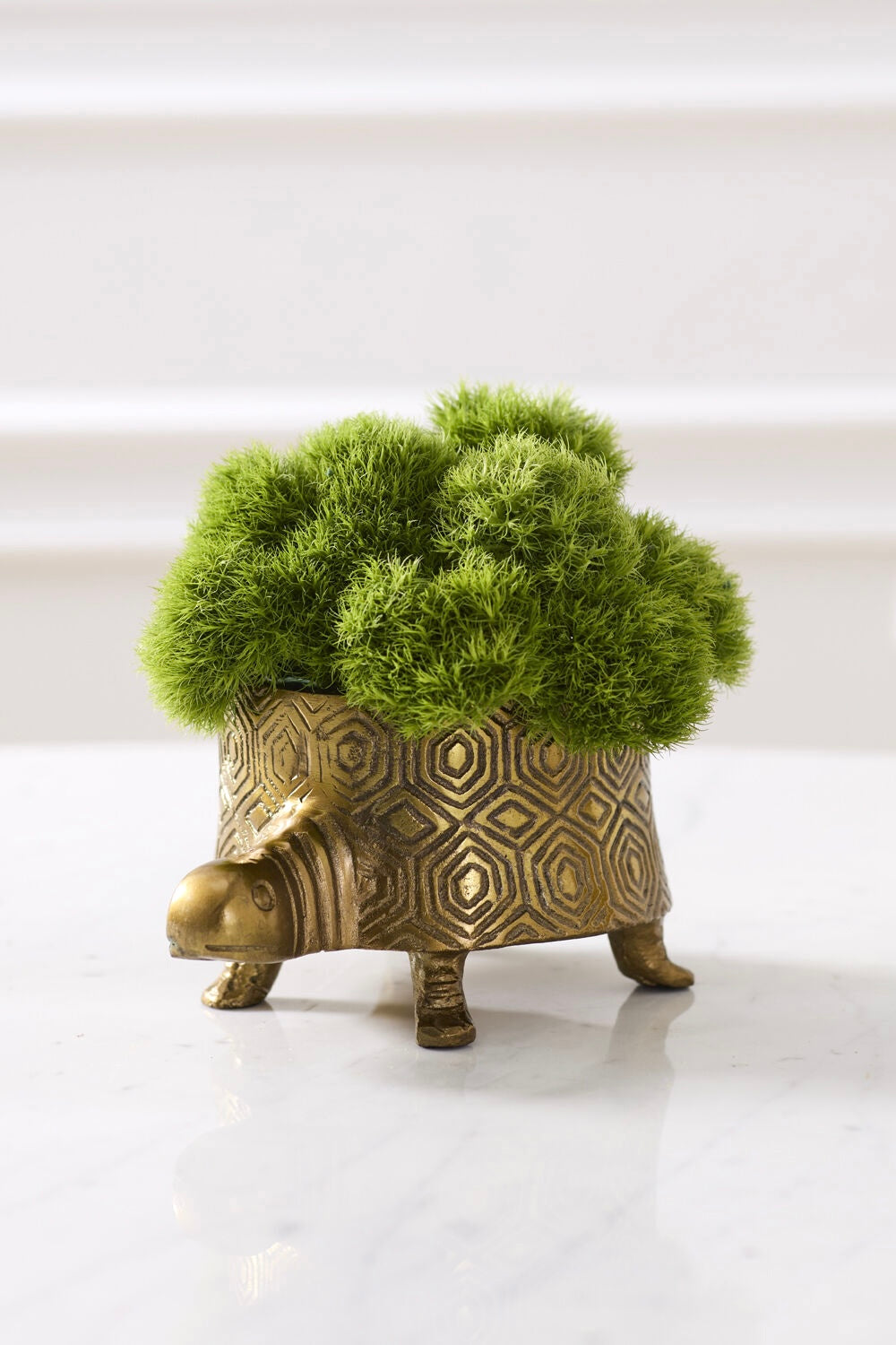 Seymour Turtle Pot
