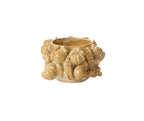 Lady Harvest Pot Collection image 4