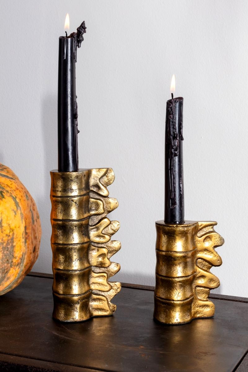 Skeletal Lumbar Candleholders (Set of 2) image 1