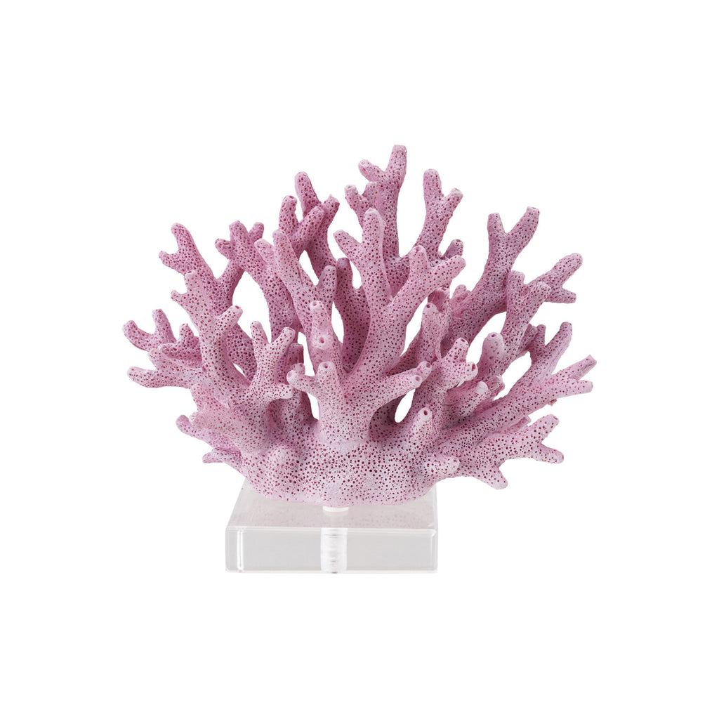 Reef  image 2