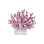 Reef  image 2