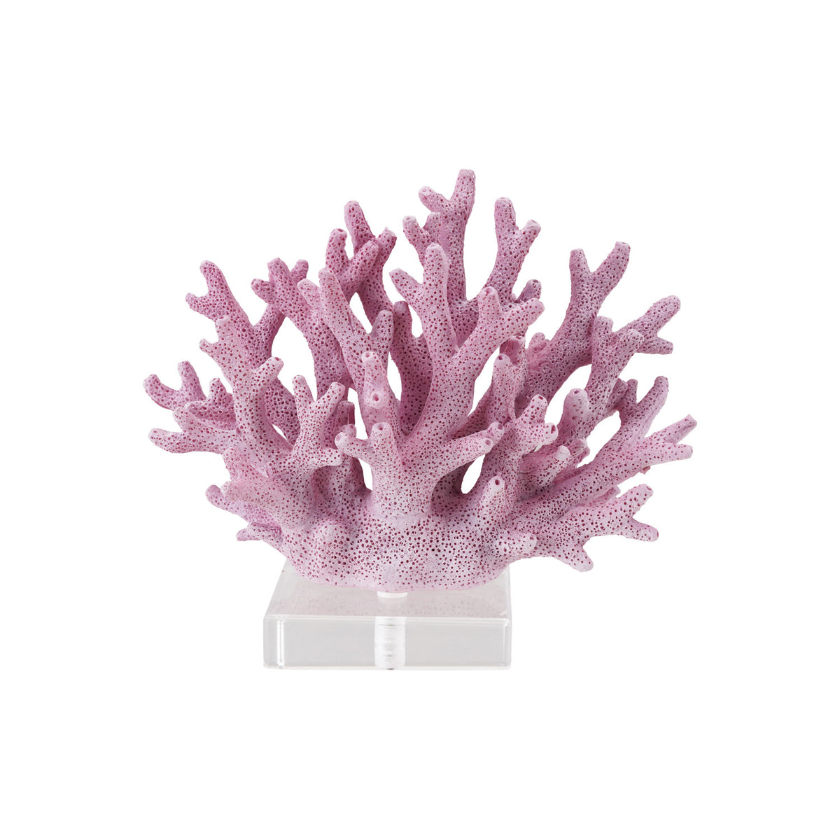 Reef  image 2