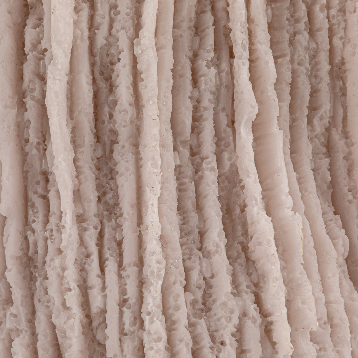 Lumine Coral Lamp  image 4
