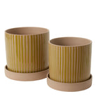 Planter with Saucer  image 1