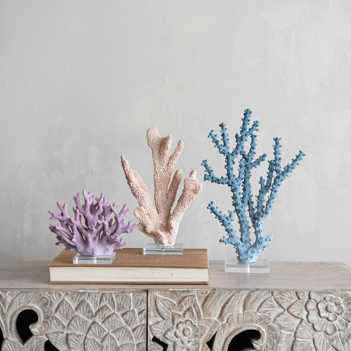 Reef  image 0
