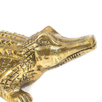 Dundee Croc Bookends image 6