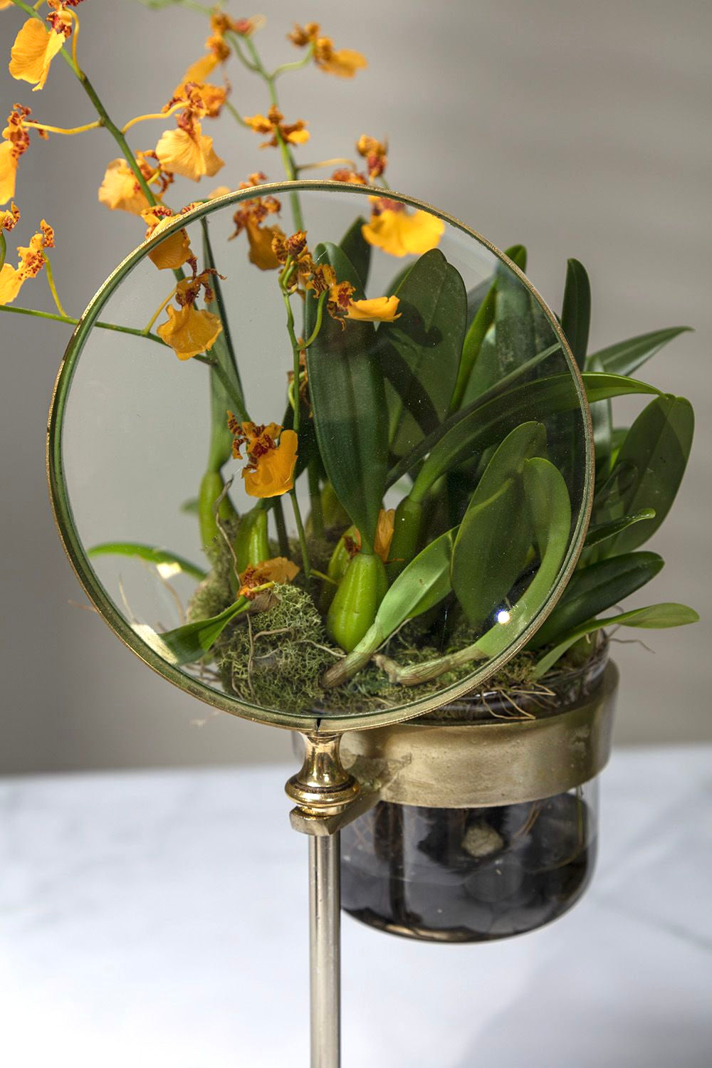Magnifying Spyglass Pot and Stand image 2