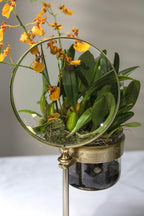 Magnifying Spyglass Pot and Stand image 2