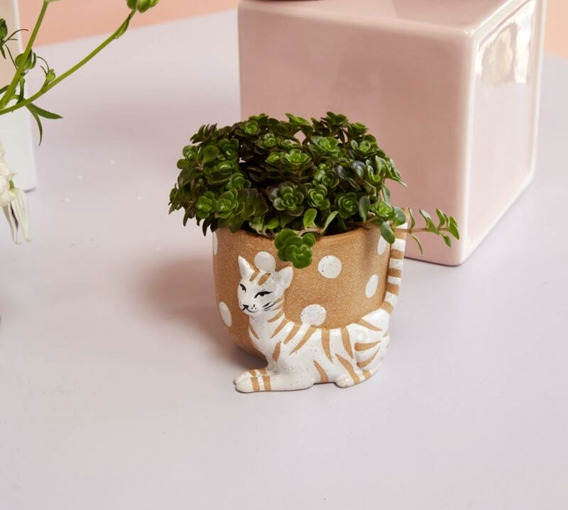 Pampered Pet Pot image 6