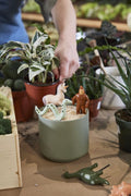 Mythical Creatures Plant Sticks (Set of 3) image 0