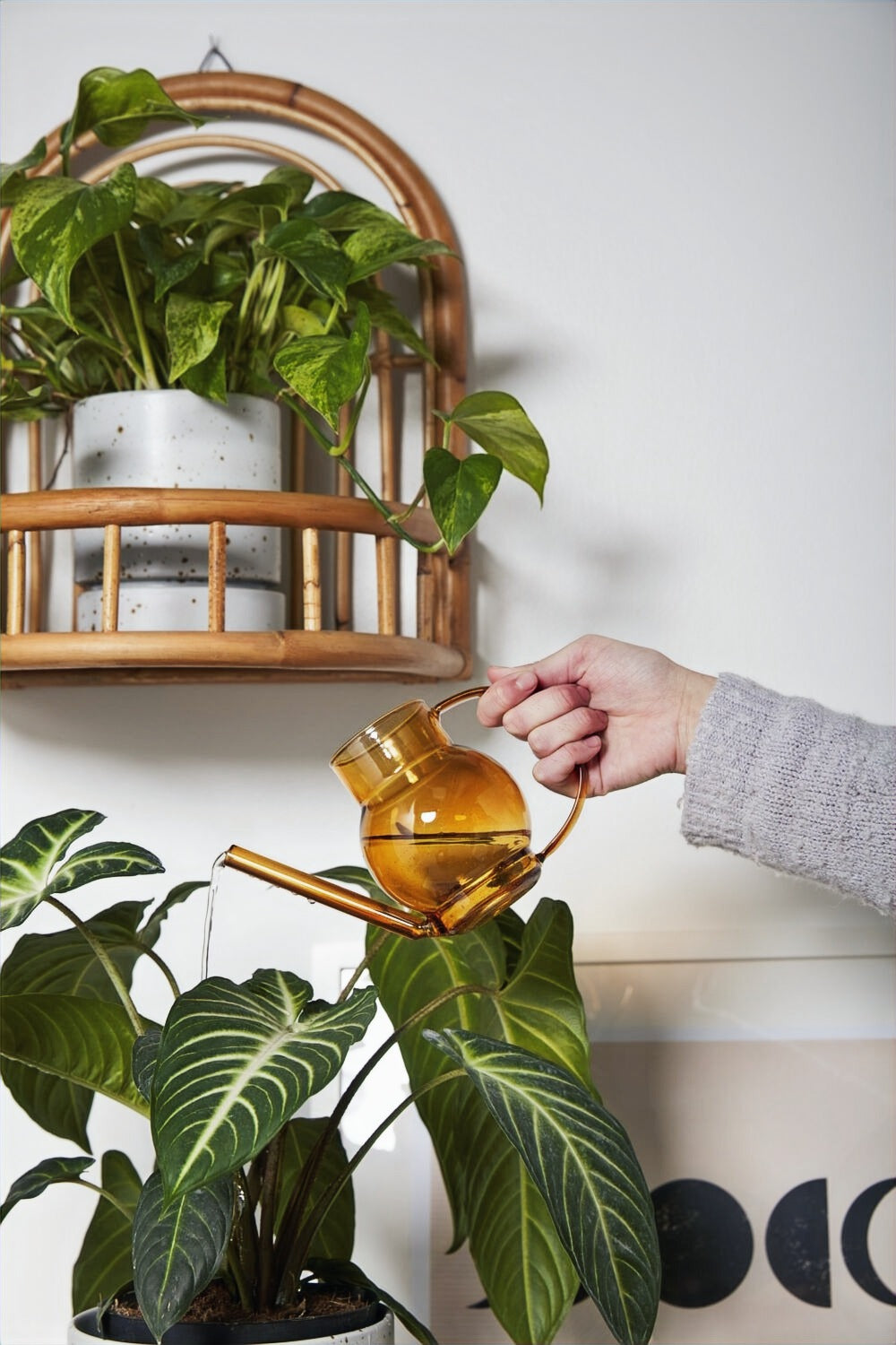 Pequeno Watering Vessel image 1