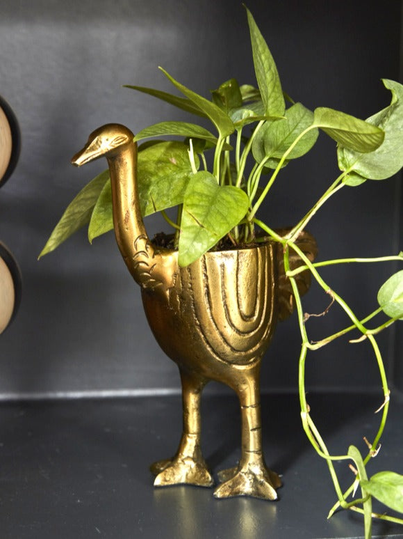 Oliver Ostrich Pot image 1