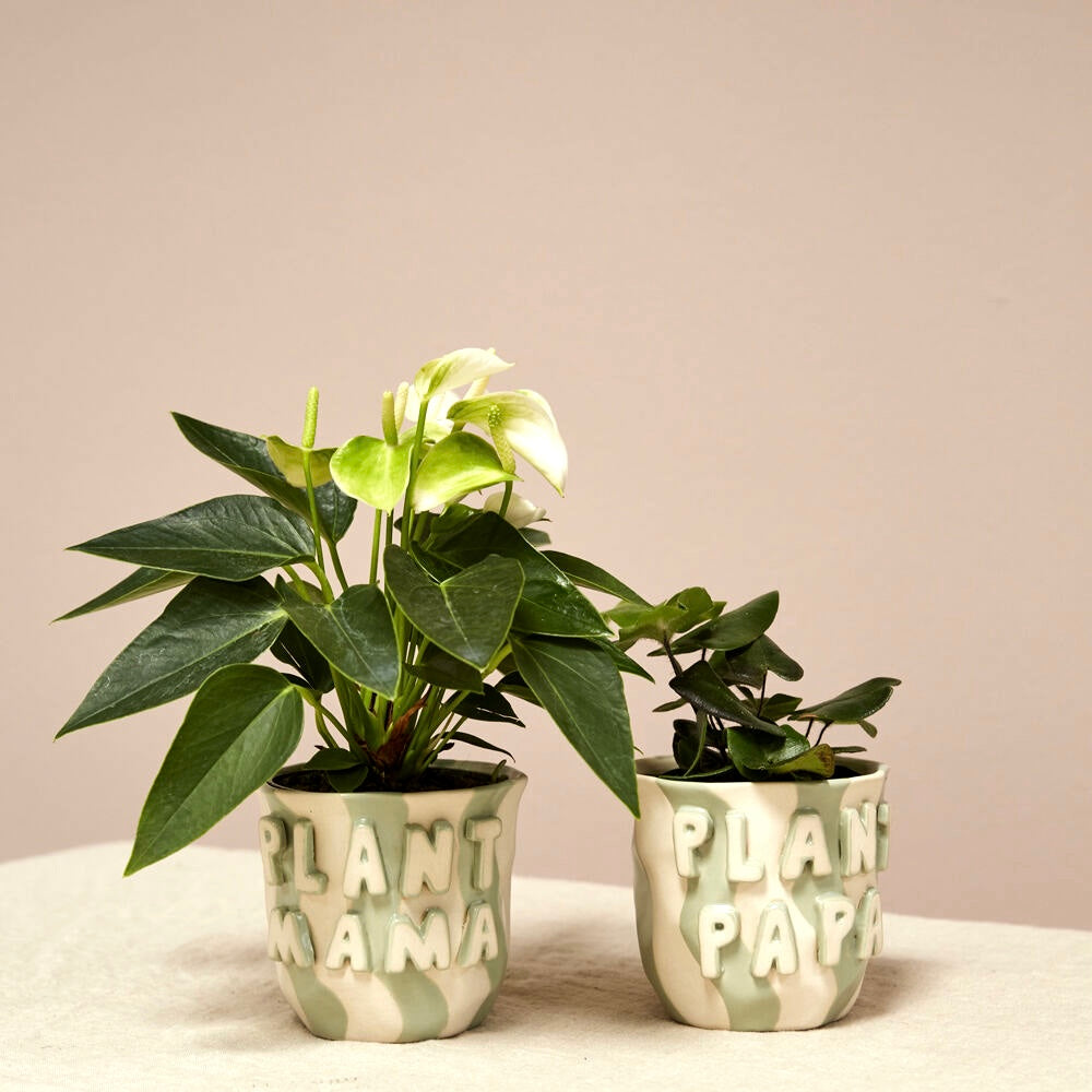 Proud Plant Parent Pot image 0