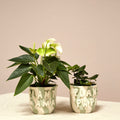 Proud Plant Parent Pot image 0