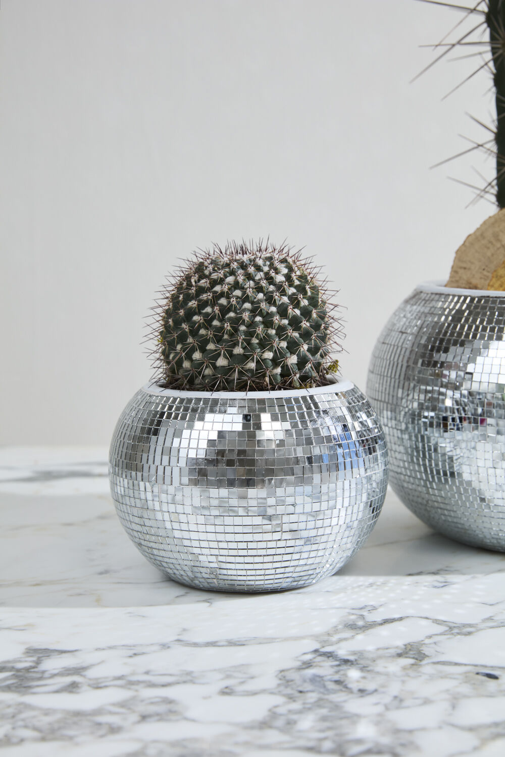 Disco Pot Collection  image 2