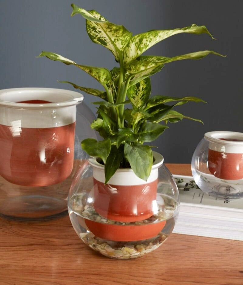 Davis Bowl Planter (Self-Watering) image 1