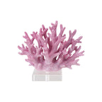 Coral Reef Collection image 4
