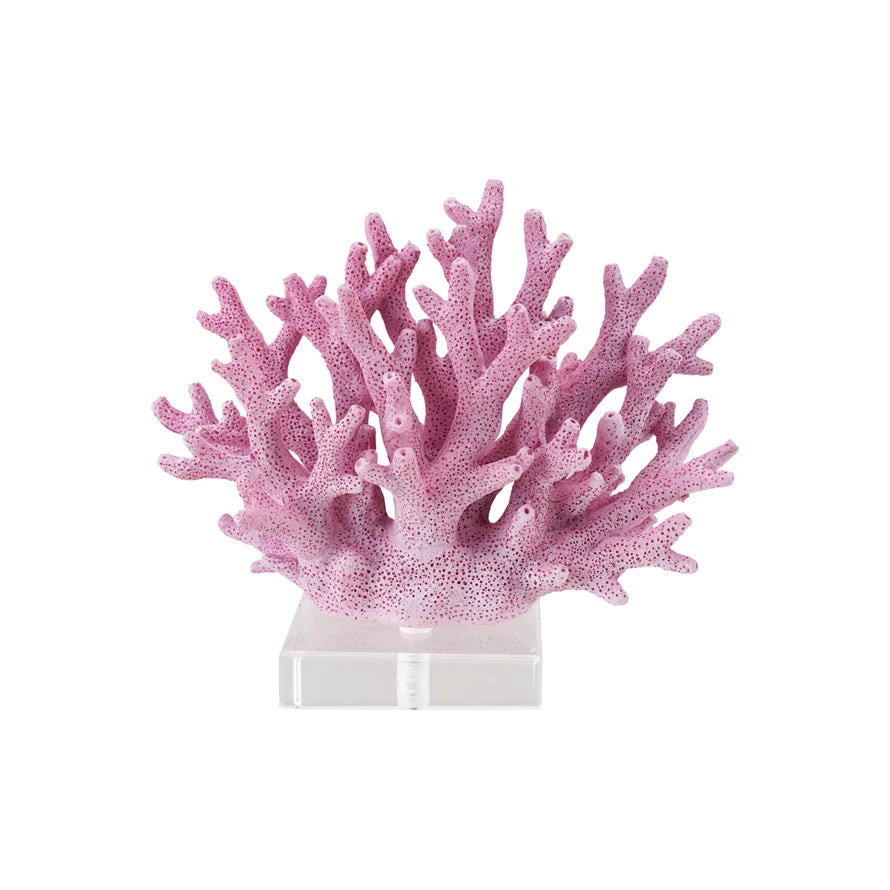 Coral Reef Collection image 4