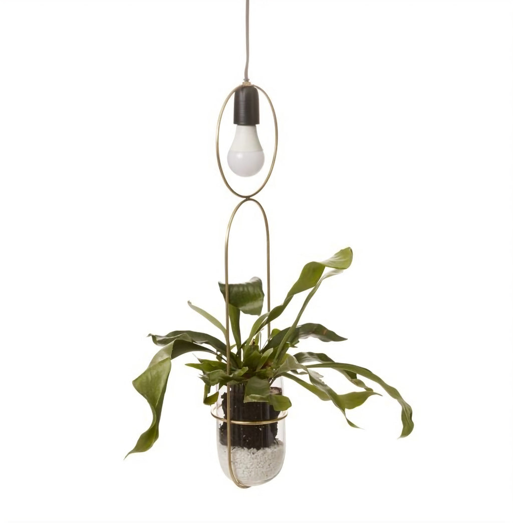 Kol Hanging Lighted Planter image 1