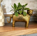 Bengali Tigris Pot image 0