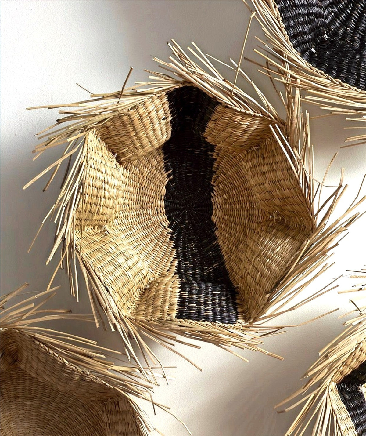 Hague Basket Collection  image 8