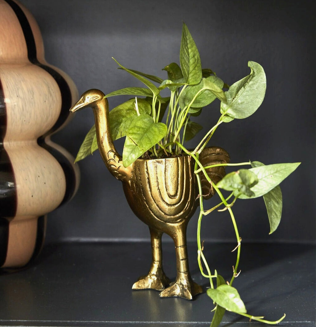 Oliver Ostrich Pot image 3