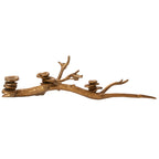 Oyster Mushroom Candleholder image 4