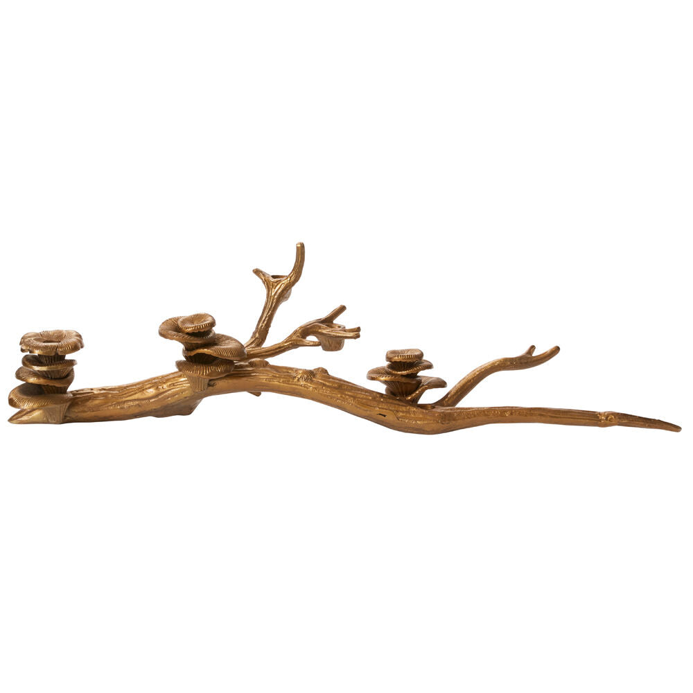 Oyster Mushroom Candleholder image 4