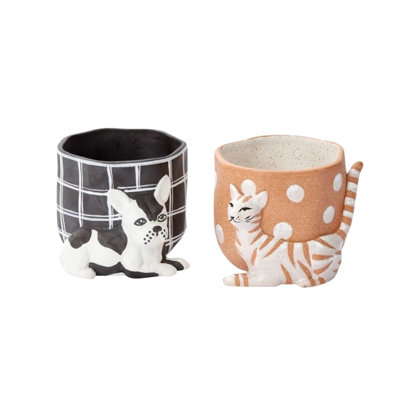 Pampered Pet Pot image 4