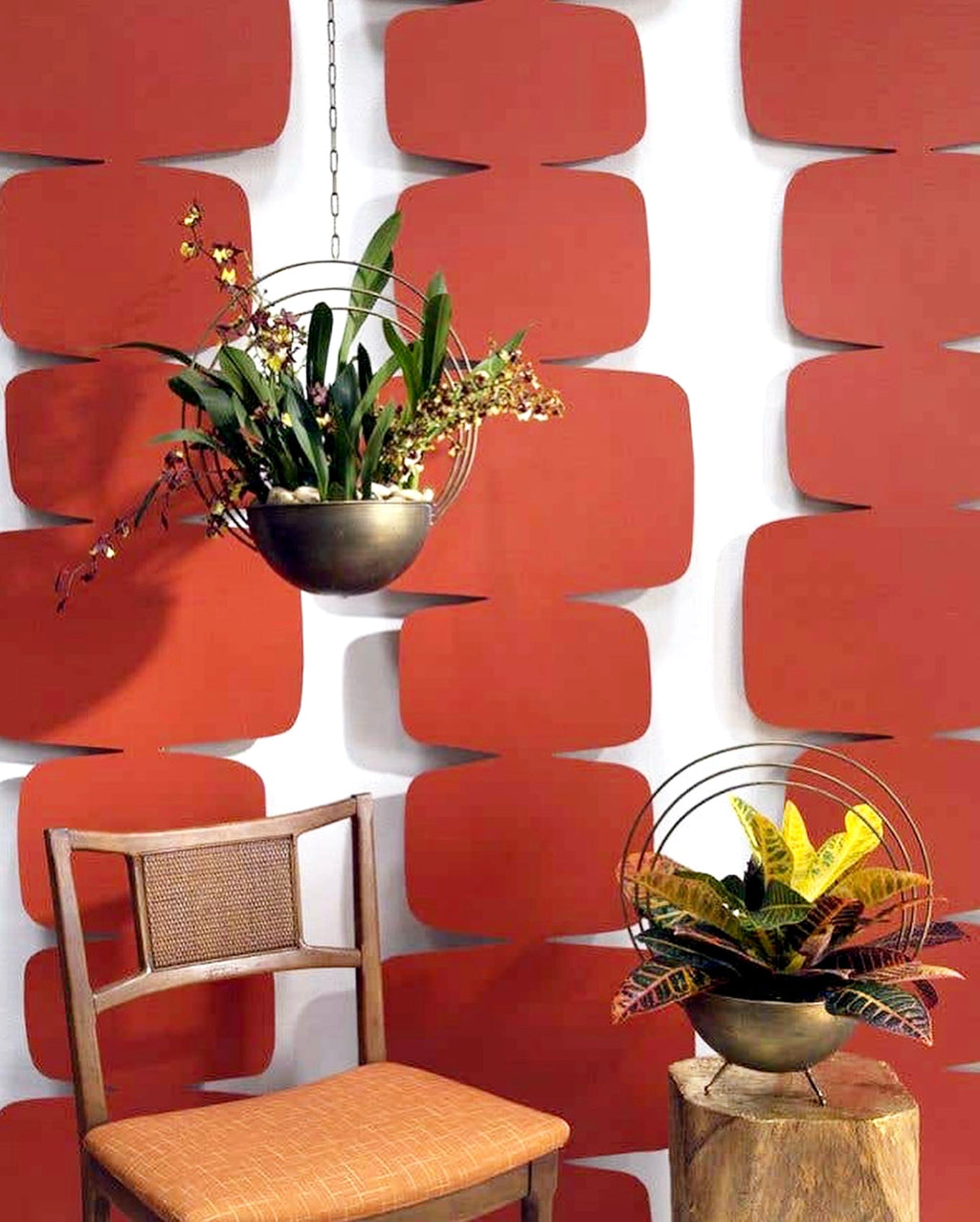 Saturn Planter Collection image 1