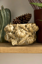 Lady Harvest Pot Collection image 5