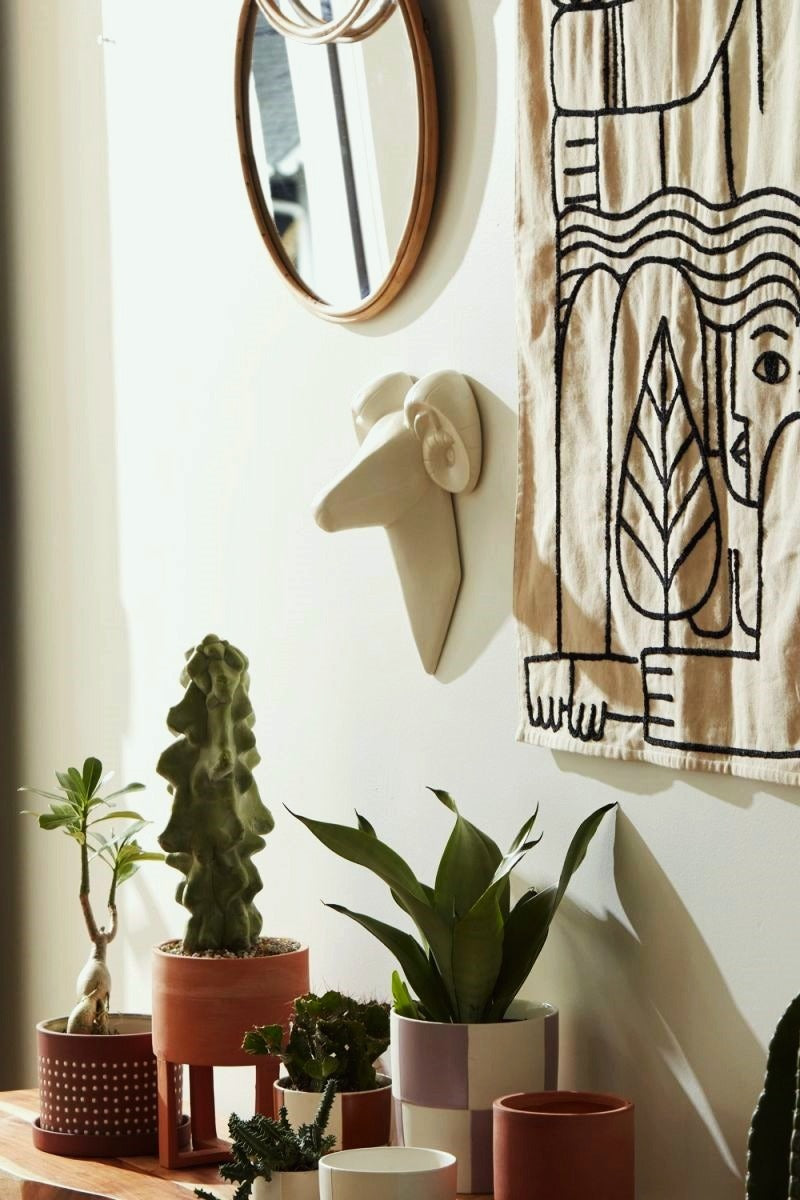 Kofa Ram Wall Mount image 3
