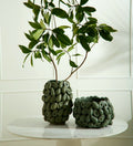 Lula Layered Avocado Planter image 0