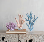 Coral Reef Collection image 0