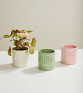 Plantisms Pot Collection image 0