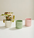 Plantisms Pot Collection image 0